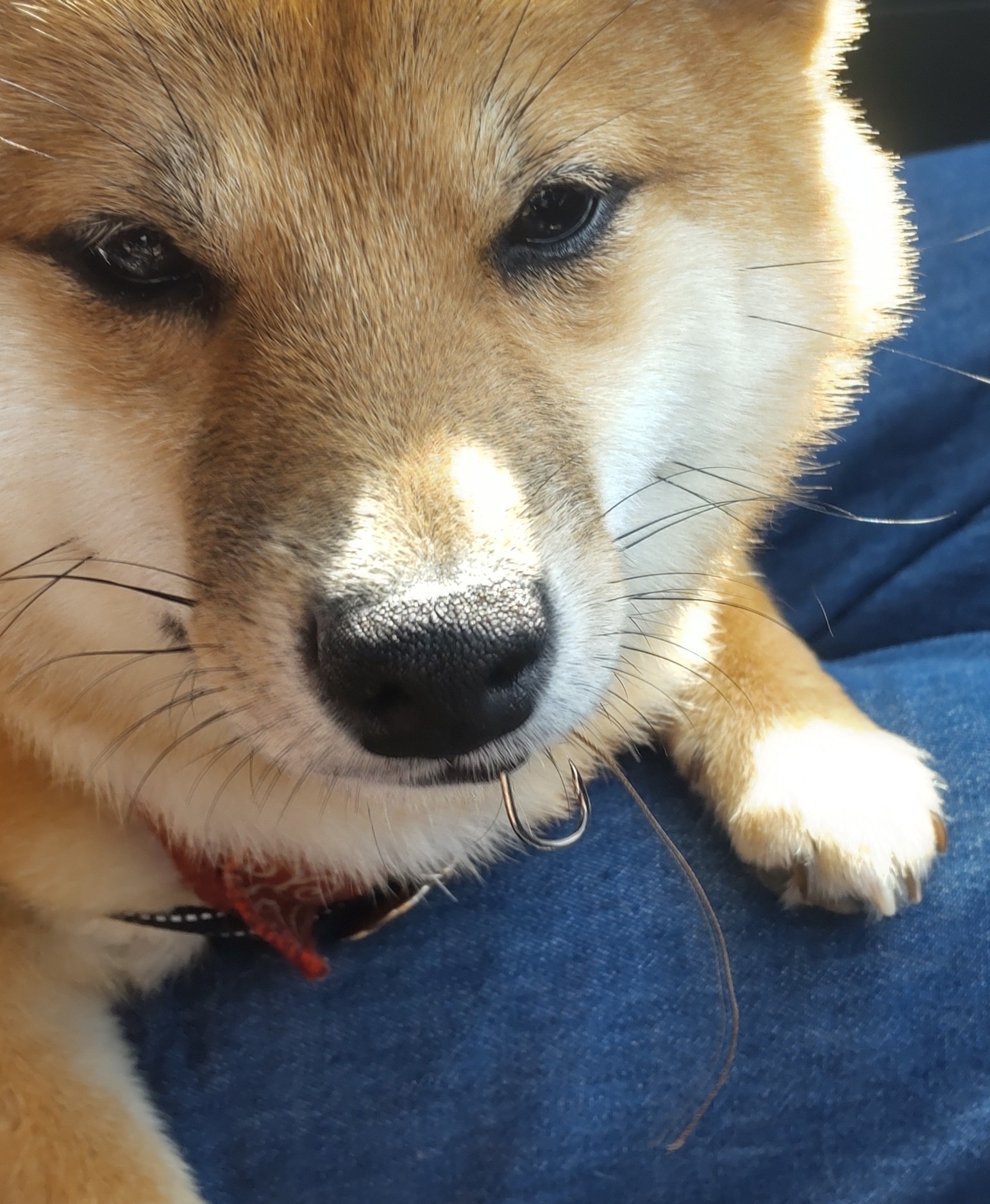 See Kbtyktk S Tweet On May 15 22 Twitter