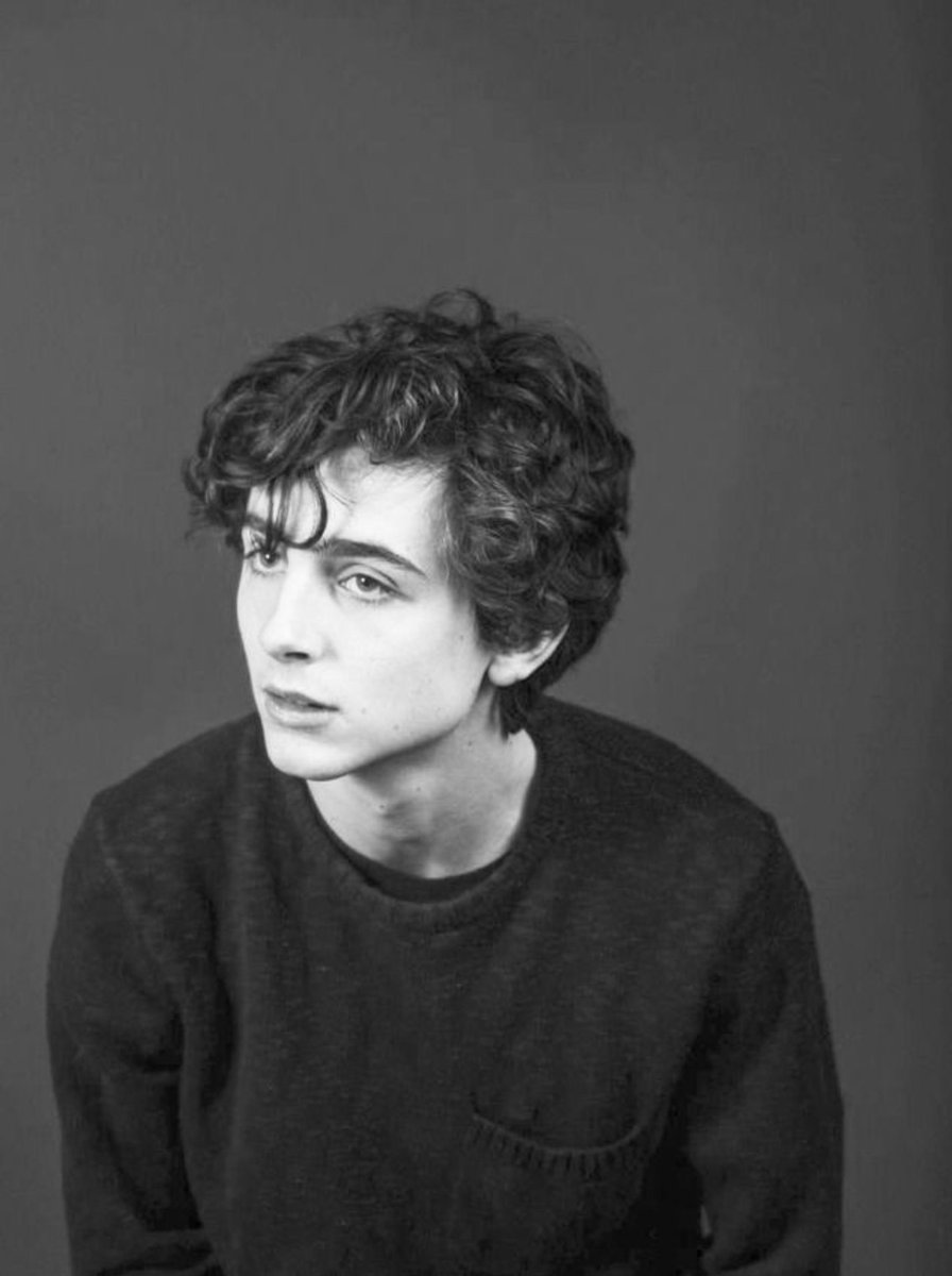 Timothée Chalamet pics (@dailytimothee) on Twitter photo 