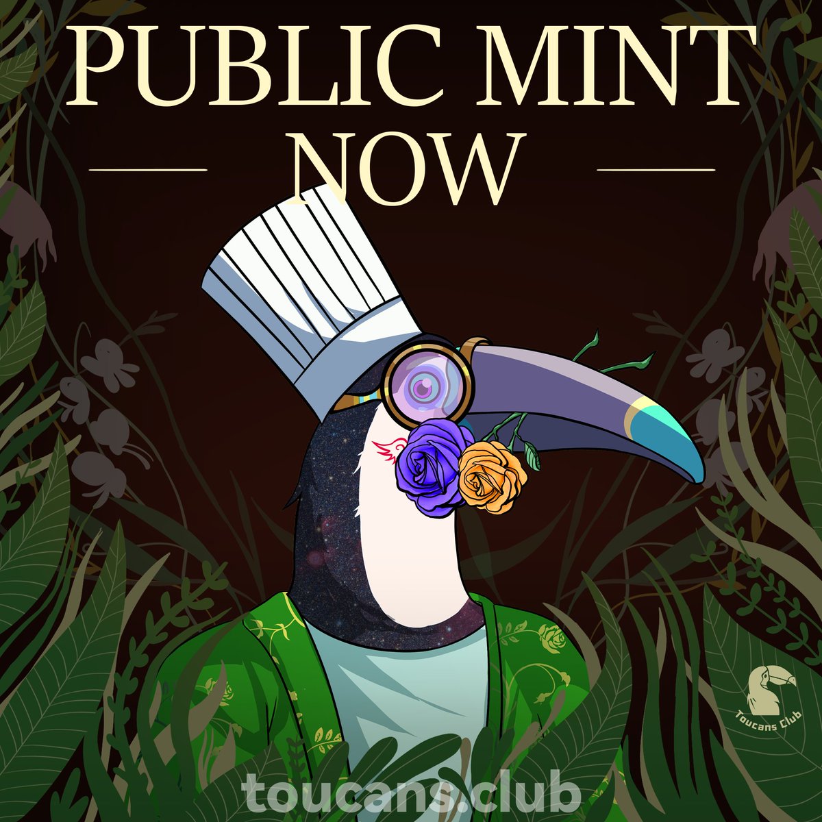 Toucans Club tweet media