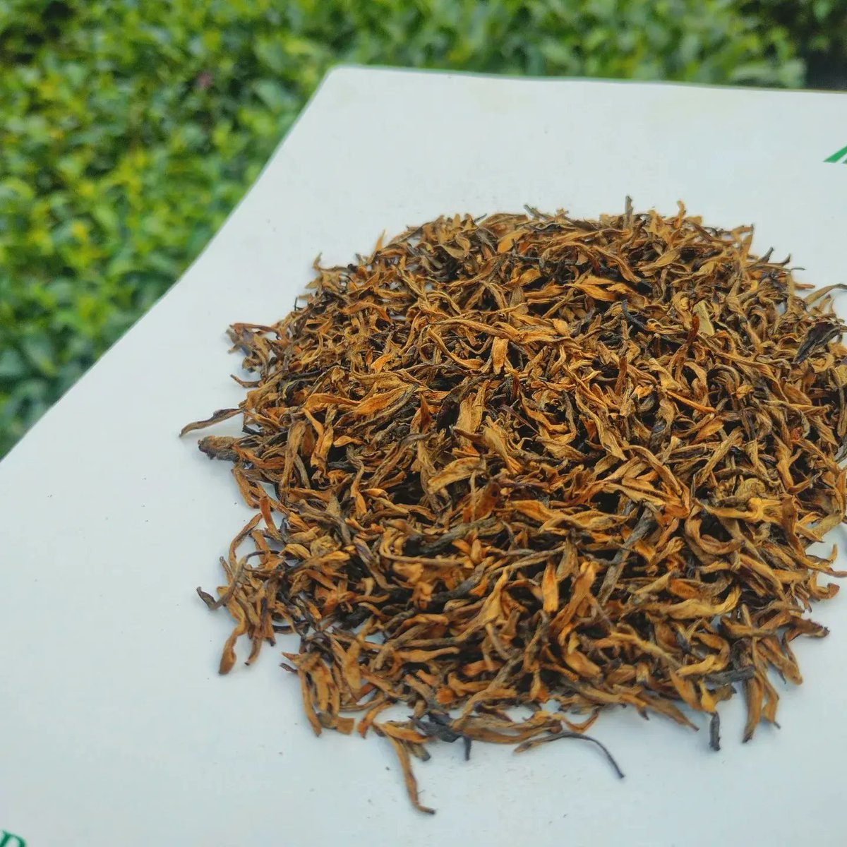 PHUKON0w's tweet photo. #Golden_Orthodox_tea
#Assam_orthodox 
#Secondflush2022
#secondflushassamtea 
#ilovetea 
#springtea 
#tealover  #assamteagarden #goldentipstea #orthodoxtea https://t.co/e2dBeYcdYd