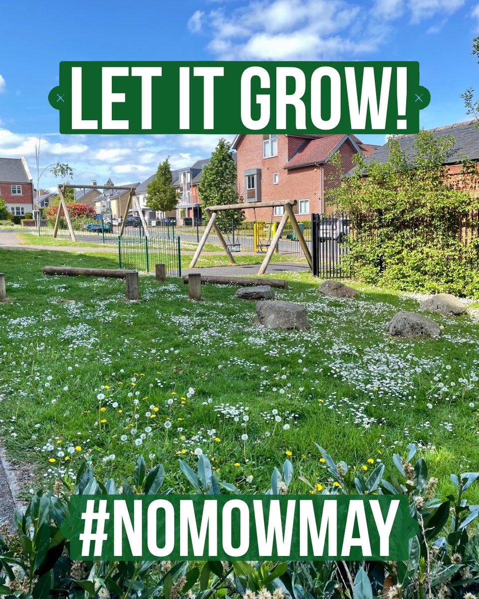 WildWorldRewild's tweet photo. Let it grow! It’s #NoMowMay and time to let it grow! Don’t mow lawns and verges during the month of May to let the wild flowers grow, providing an essential food source to pollinator insects like bees and butterflies

#LetItGrow #wildflowers #pollinators #bees #butterflies https://t.co/bkau6bPSi6