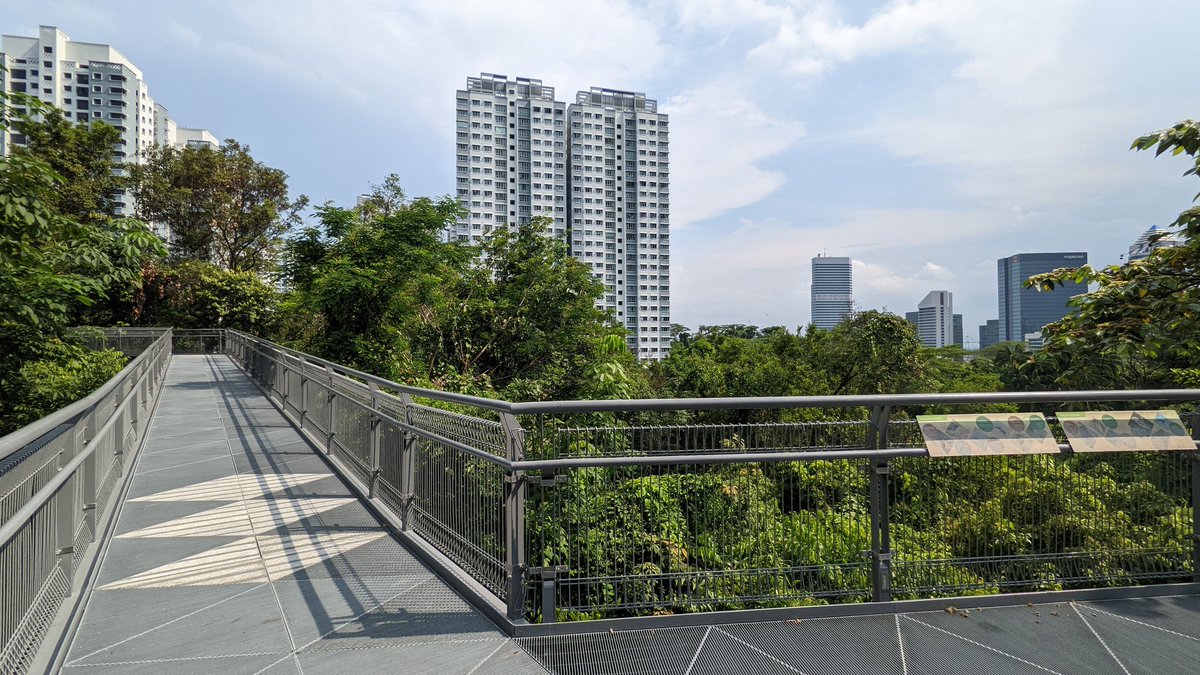 tktktk09's tweet photo. サザンリッジを西側のKent Ridge Parkから散策中。日差しが強くて暑いが、自然に満ち溢れてて気持ちが良い。
#シンガポール
#Singapore
#サザンリッジ
#SouthernRidges https://t.co/vLDzwyGkjL