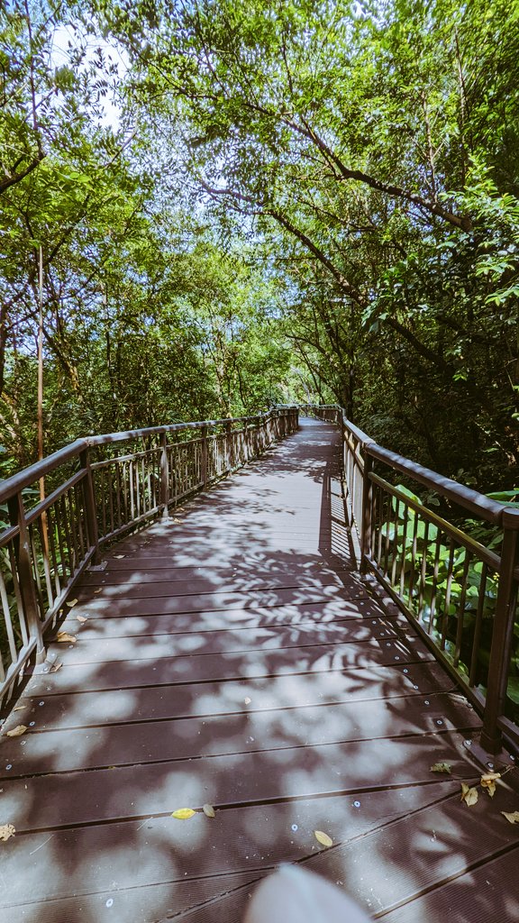 tktktk09's tweet photo. サザンリッジを西側のKent Ridge Parkから散策中。日差しが強くて暑いが、自然に満ち溢れてて気持ちが良い。
#シンガポール
#Singapore
#サザンリッジ
#SouthernRidges https://t.co/vLDzwyGkjL