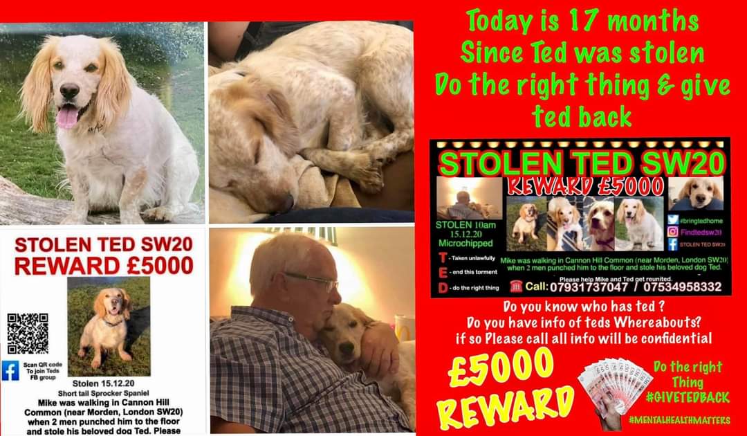 kathiebennett's tweet photo. 17 MONTHS TODAY SINCE TED WAS STOLEN .
Please help bring ted home 
Please share all over the uk &amp; Ireland 

#bringtedhome
#bringtedback
#dotherightthing
#mentalhealthmatters https://t.co/GuDqoy3iAc