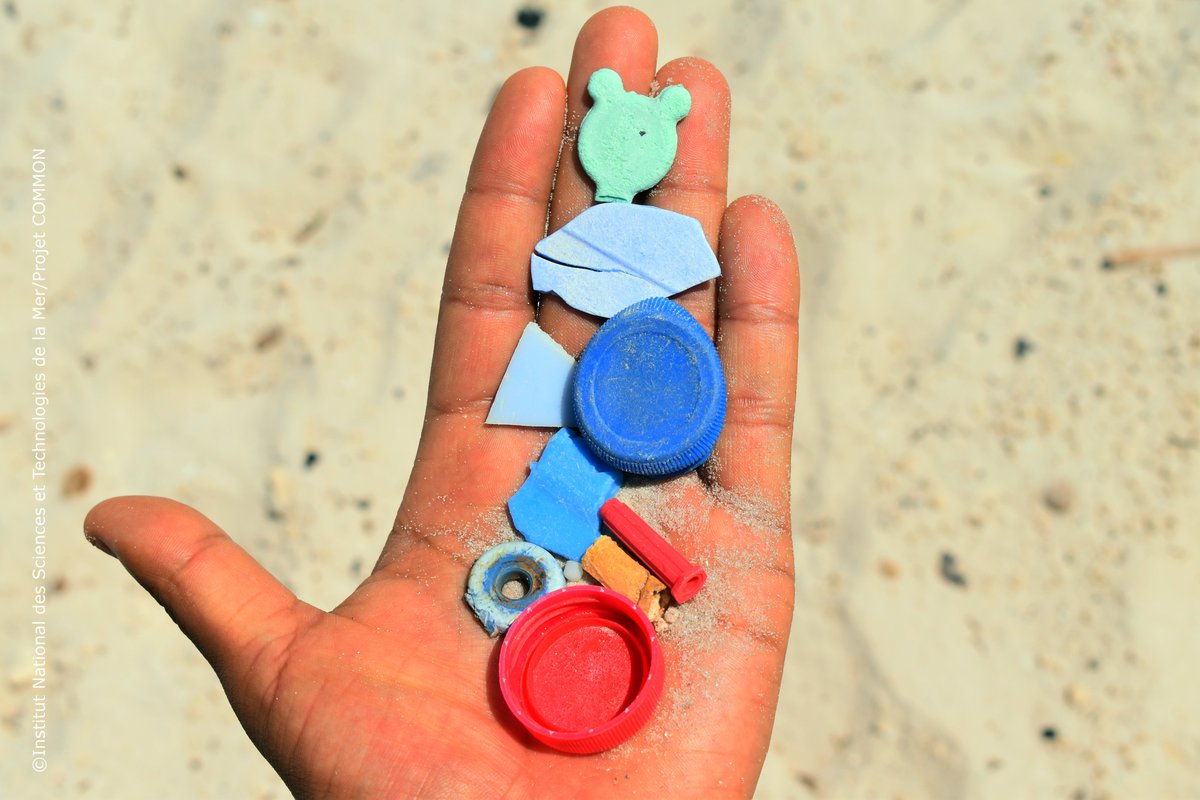 INSTM_TN's tweet photo. 📢 INSTM/ @common_eu : L'Institut National des Sciences et Technologies de la Mer et le Club Marinos- ISBM 🇹🇳ont rejoint la campagne Clean Up The Med 2022 🚯🚮
Plus d'infos : https://t.co/VD6UgMgmkx
👉Réagissez sur #INSTM #CleanUpTheMed #WeAreAllMed #GOMED
@ENICBCMed @enicbc 🇪🇺 https://t.co/japF50tTyB