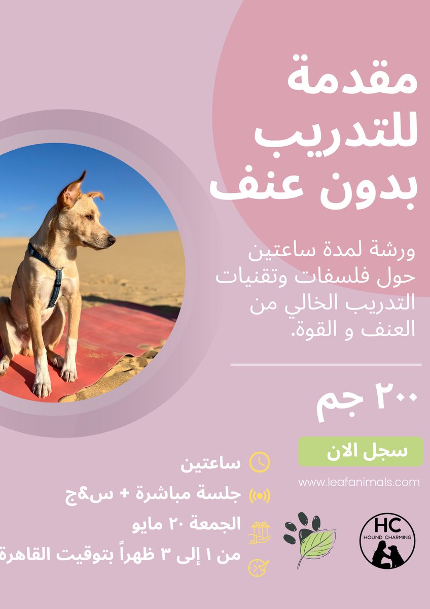 LeafAnimals's tweet photo. الجمعة الجاية ٢٠ مايو ورشة التدريب بدون عنف. احجز الان https://t.co/osNAZz8B1t
