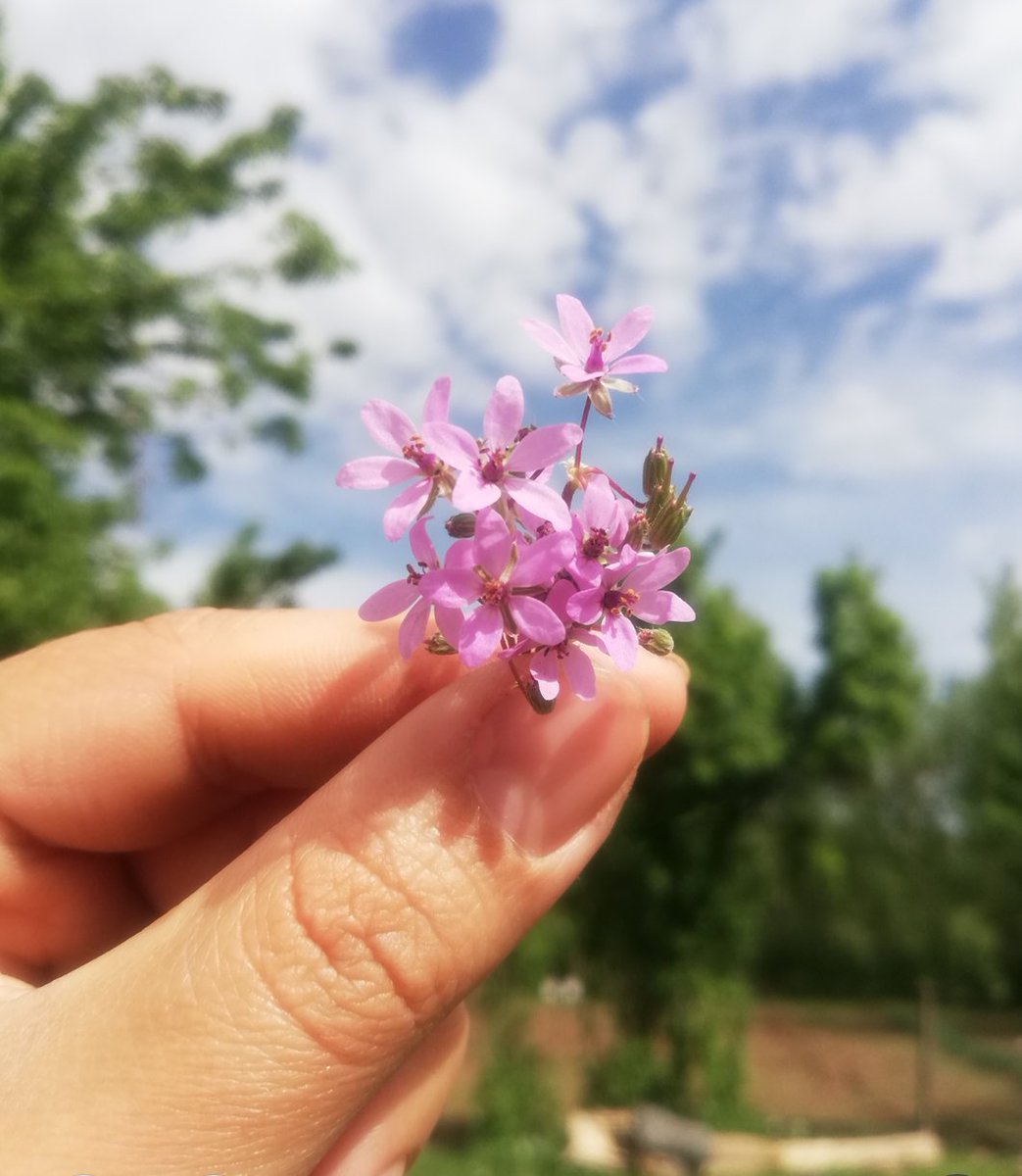 Tuğba Kalem (@tugbakalem00) on Twitter photo 