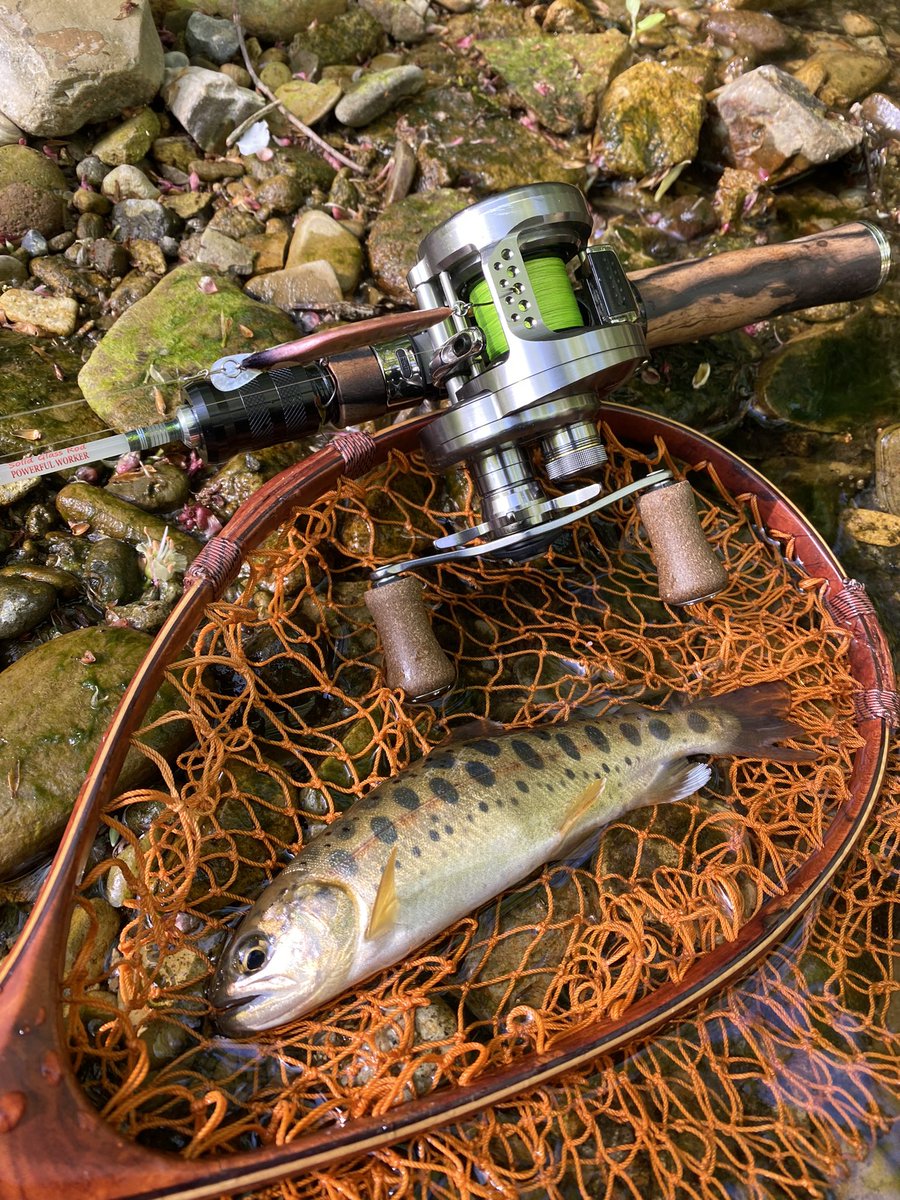 wander_hiro's tweet photo. 猪に怯えながら釣りへ🎣
生息域増えてきてるよなぁ🐗🐗🐗
#powerfulworker #glasso #おたけるあーず https://t.co/MCiZj2GPzq