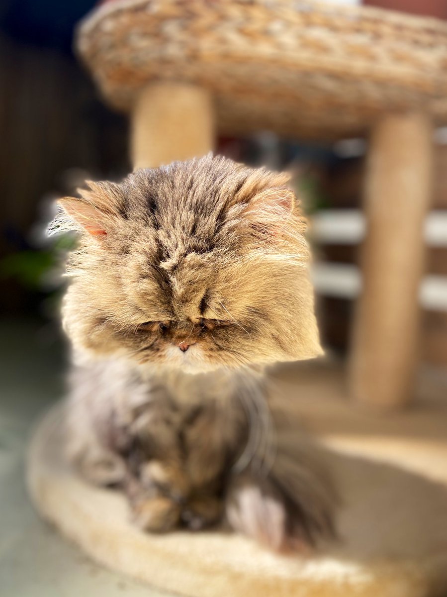 „Geh doch mal vor die Tür, die Sonne wird dir sicher gut tun!“

Ich in der Sonne: