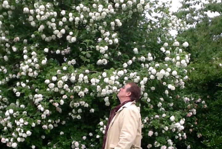 Carol Challis tweet media