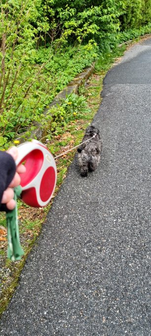 Walking the Princess, might run late 😂 https://t.co/glHDTej8x3<a href="/tag/spreadlove"class="tags"><span>#spreadlove</span></a><a href="/tag/compliments"class="tags"><span>#compliments</span></a><a href="/tag/sharethis"class="tags"><span>#sharethis</span></a>