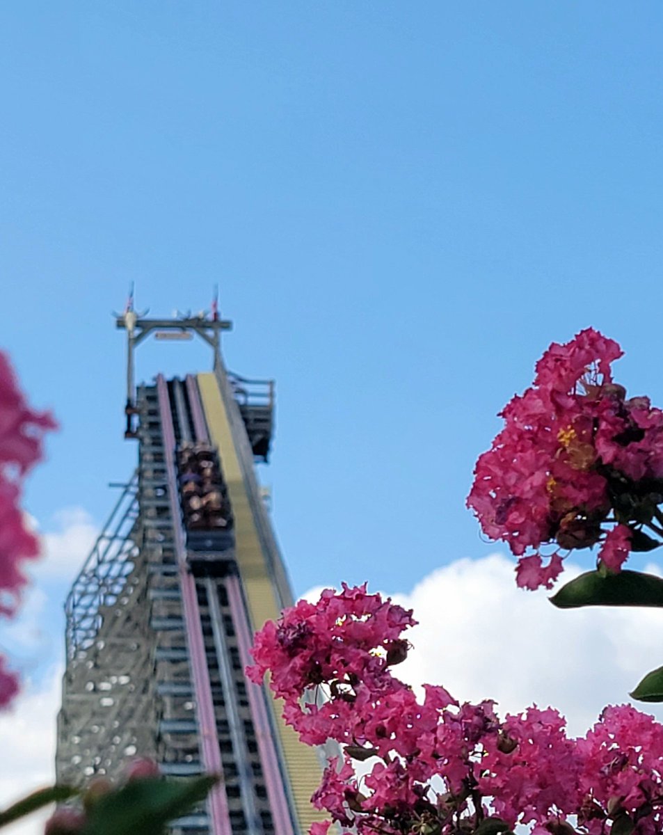 CryptoCoasters's tweet photo. Sometimes you just need a break from #crypto, #Rollercoasters are my break...what's yours?  @SixFlagsOverTX #RMC https://t.co/x8DM887MGT