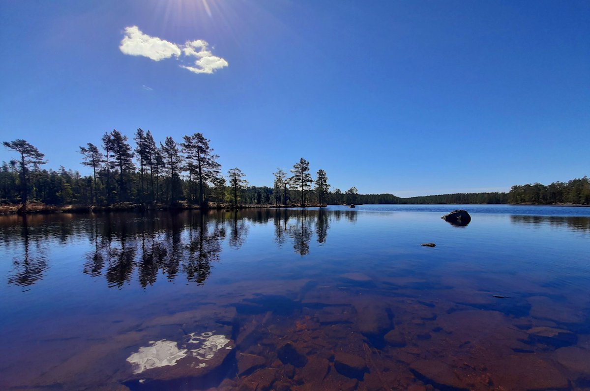 TheSwedishSaga's tweet photo. Oh, no... t'is getting cloudy
#Glaskogen #Sweden https://t.co/vGSpglBaMh