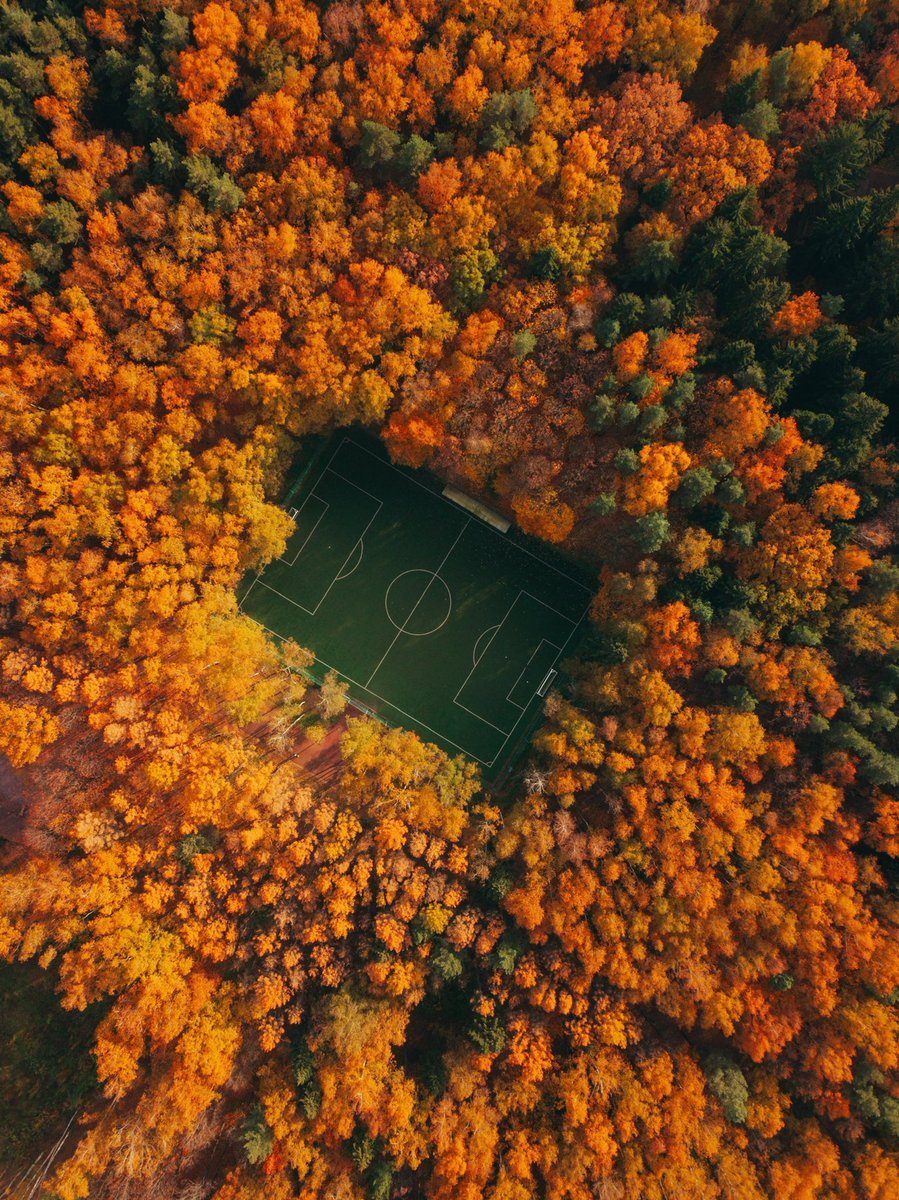 borntottravel's tweet photo. Photographers,show me your beautiful orange photos🧡

I will RT my fav👇🏻 https://t.co/fxar6XkklB
