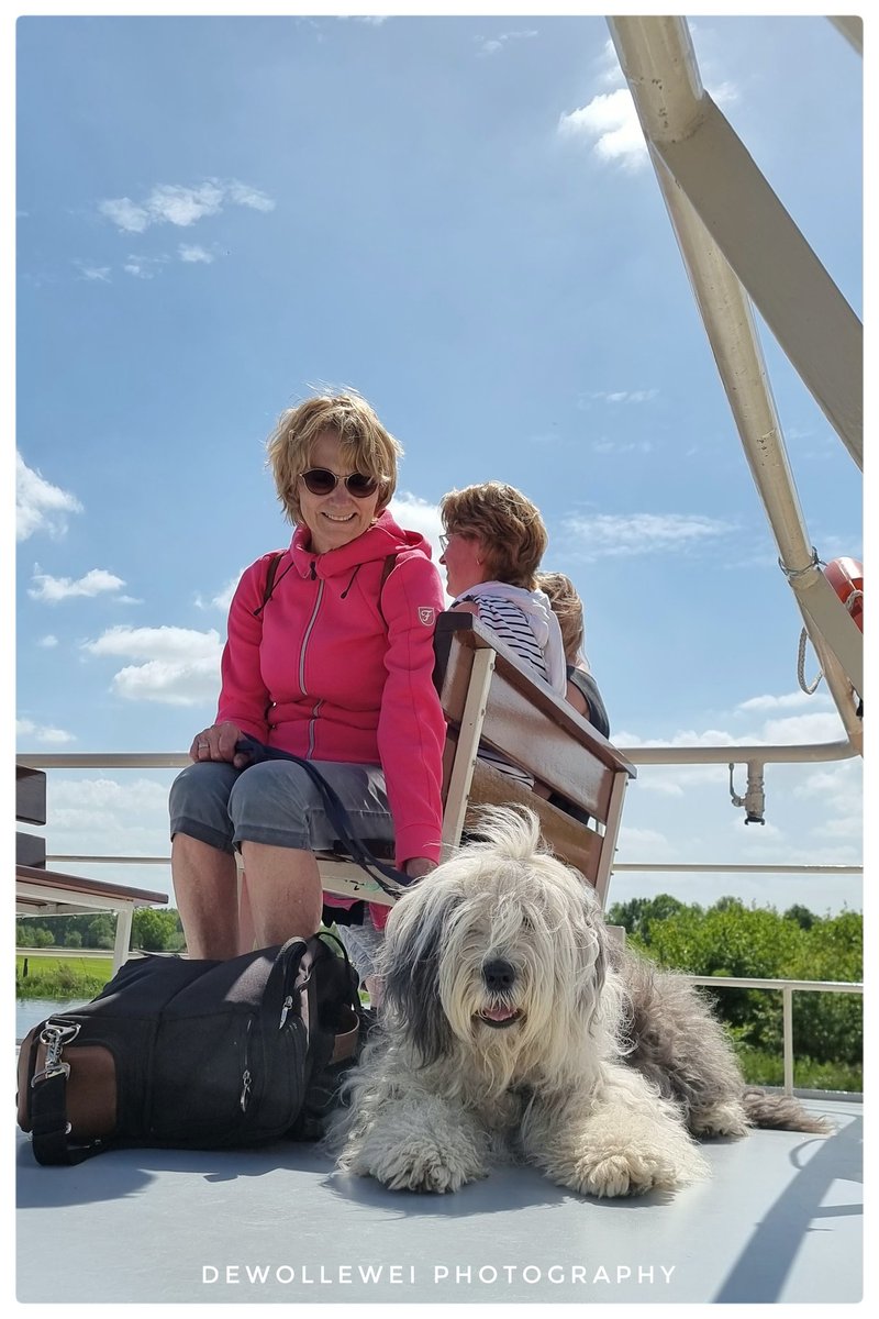 dewollewei's tweet photo. Boat trip
#boottrip
#oldenglishsheepdog 
#oes
#rederijpeters https://t.co/9yIS6mRRIV