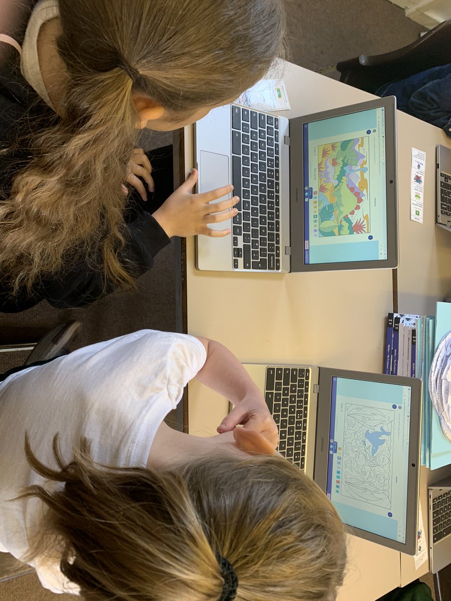 Charlotte Archer tweet media