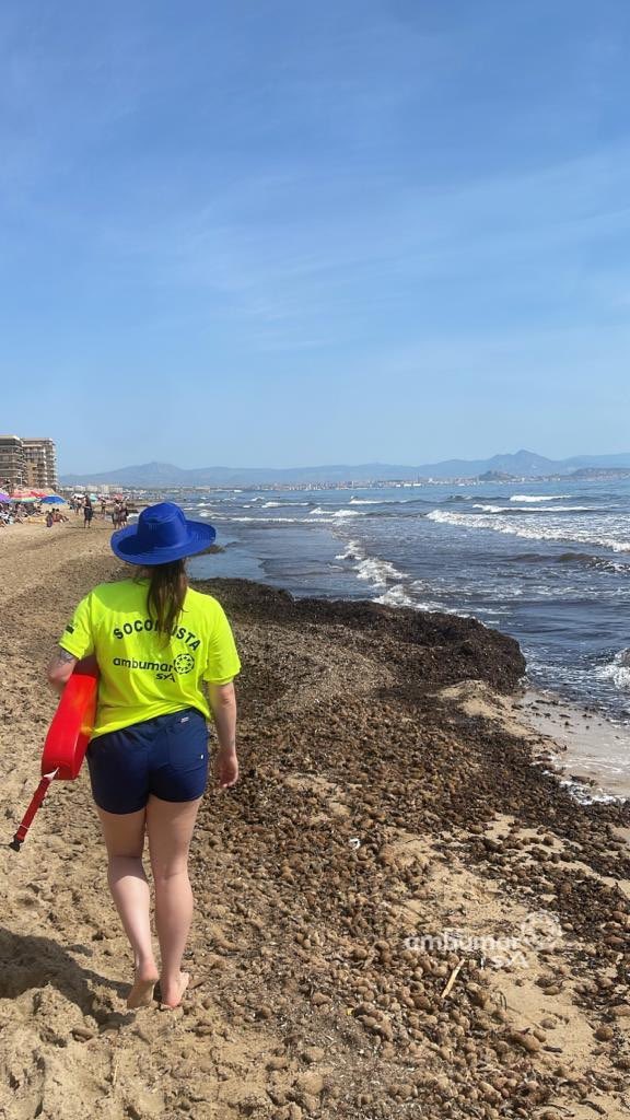 AmbumarSyA's tweet photo. Apertura de #servicio de #socorrismo en #playasdeelche Altet โก๏ธ bandera verde ๐ฉ
Arenales โก๏ธ bandera verde ๐ฉ
Carabassi โก๏ธ bandera verde ๐ฉ
La Marina โก๏ธ bandera verde ๐ฉ
โ๏ธ๐๐โโ๏ธ #ambumar #playasegura #sos @visitelche https://t.co/BRlENV6ITs