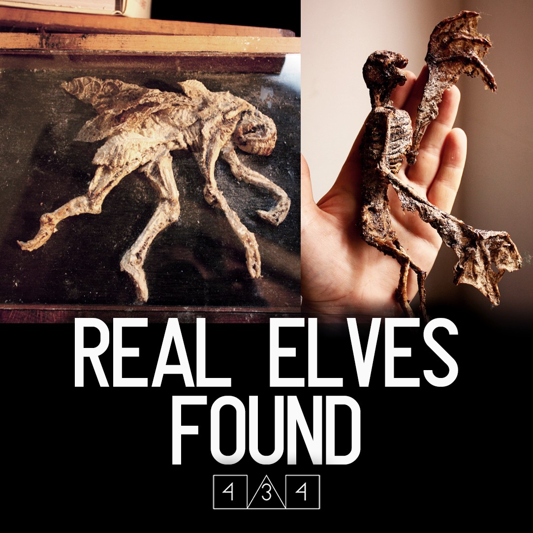 434_official's tweet photo. https://t.co/9ZUhkzwUPn
An unbelievable discovery has been recently made in a basement of a London house and we need to talk about it.
#be434 #machineelves #elves #fairies https://t.co/o0npaaFoyr