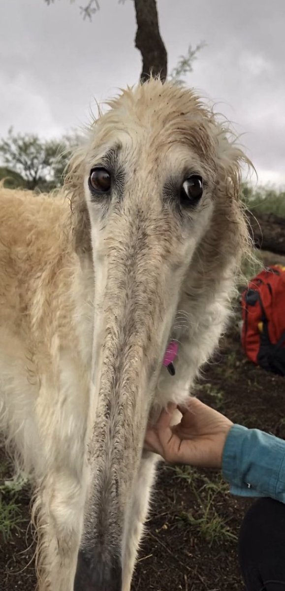 wenn es nicht mehr nur ein spliFF war………..