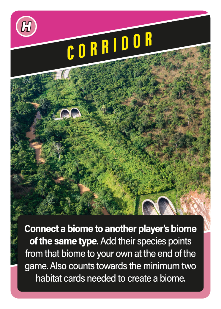 Can we talk about #wildlifecorridors? I really wanted these in my SOS game, right from the beginning. Now I believe many kids will hear about them for the first time whilst playing SOS. And when kids learn something whilst having fun, they remember! #wildlifeeducation