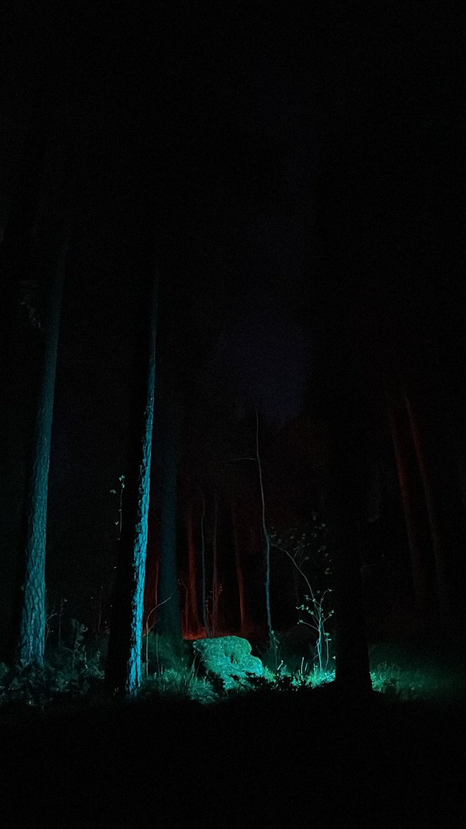 Directing a music video for Faith Richards this weekend. Thankful that it’s May so the Norwegian forest isn’t freezing.