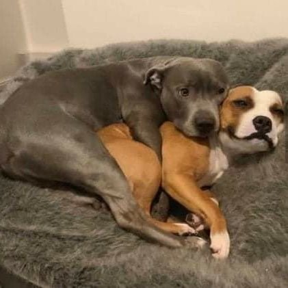 Nwaf (@naef_nwaf) on Twitter photo 