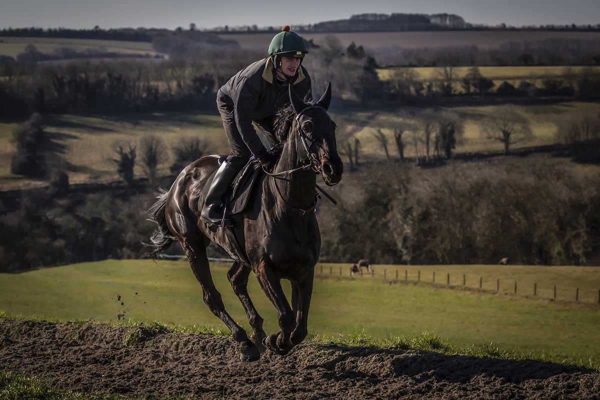 Nigel Twiston-Davies (@nigeltwistondav) on Twitter photo Two runners go to <a href="/stratfordraces/">Stratford Racecourse</a> today.
4.22 - Templehills Jack Savage 5lb claim
4.52 - The Kniphand Sam Twiston-Davies rides
ℹ️ bit.ly/3yU3KLN
📷 Templehills on the all-weather gallops with Jack Savage Two runners go to <a href="/stratfordraces/">Stratford Racecourse</a> today.
4.22 - Templehills Jack Savage 5lb claim
4.52 - The Kniphand Sam Twiston-Davies rides
ℹ️ bit.ly/3yU3KLN
📷 Templehills on the all-weather gallops with Jack Savage