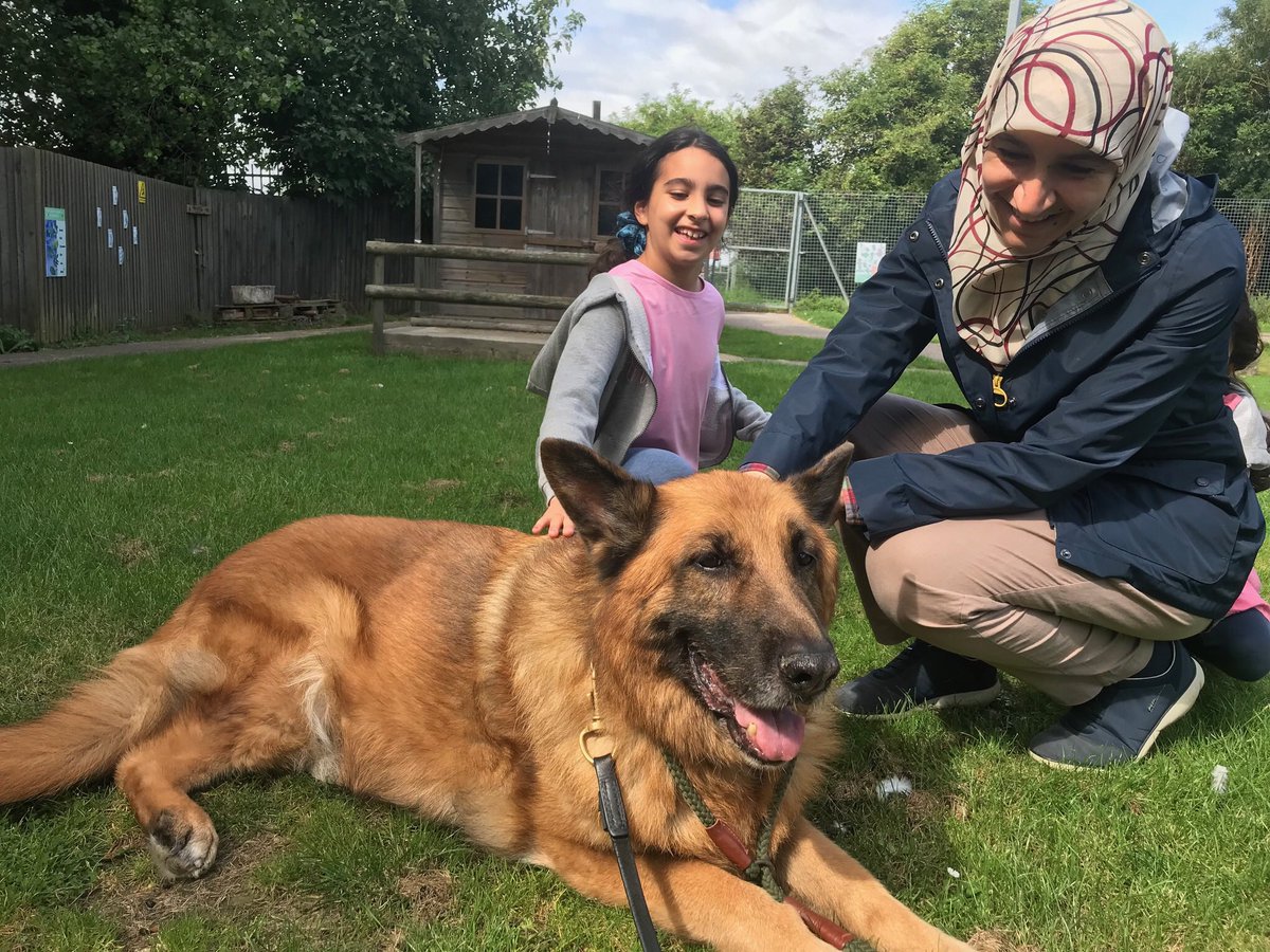 RayBates57's tweet photo. Of those that I can talk about publicly this gave me the most pleasure. From screaming behind a 10’ fence to hands on in an hour, why. Because she was jumped on by an unruly dog. “it’s only playing” is not an excuse to a child. #Controlyourdog
#Therapydog #GermanShepherd https://t.co/RcDun7xoHg