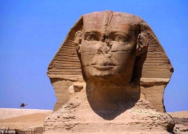 TahaRooz's tweet photo. عاجل . توافد السياح للتأكد من انغلاق عين ابو الهول 
المصدر   Fayza Tàhà https://t.co/bf29ZKDOKB
