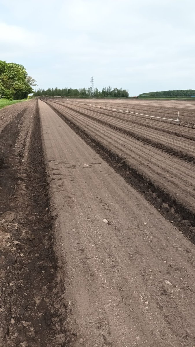 MossGrowers's tweet photo. Drilling our 22/23 crops in good conditions over the last couple of weeks #hedging #trees @LiamCupit @WillRimmer1 @agronomysmith https://t.co/frBePNMllA