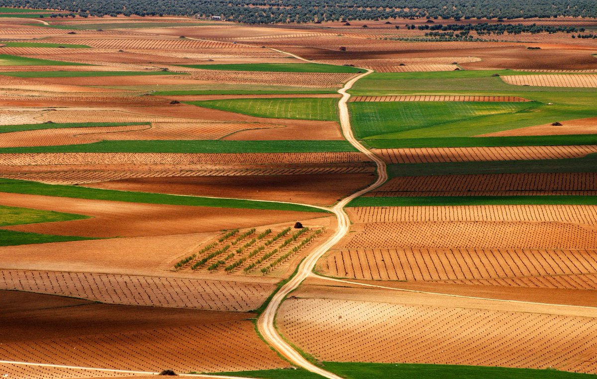 A todos los agricultores y ganaderos, gracias por trabajar la tierra con tanto esmero.

➡️Sin campo no hay futuro. Ya lo vimos en el confinamiento: el sector primario, primordial 🚜 para nuestra supervivencia. Y para hacer frente a la despoblación...

Feliz #SanIsidro 🌾