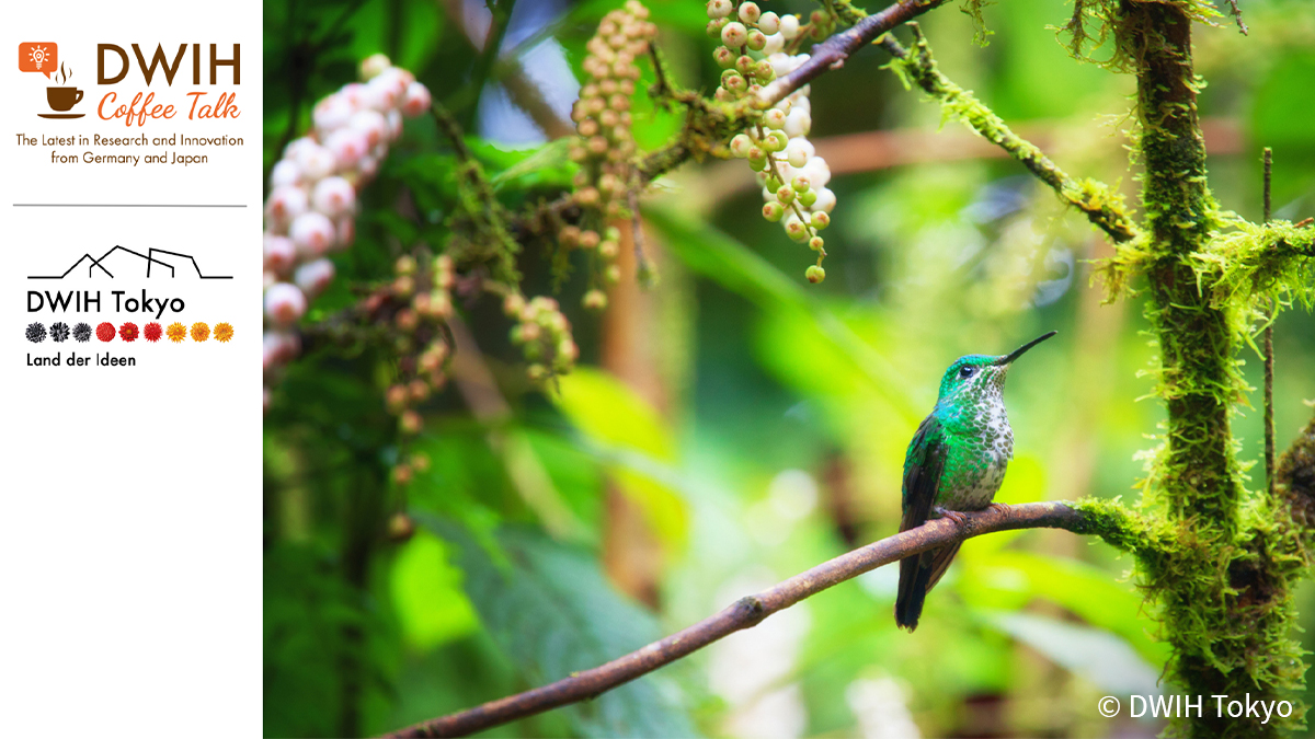 DAAD_Germany's tweet photo. We know about the accelerating pace of biodiversity loss but can innovative tech. &amp; international collaboration help tackle this complex issue?

Join the #DWIHCoffeetalk on May 16, 10 CEST &amp; learn about Japanese-German efforts in biodiversity research.

➡️ https://t.co/ecK5NKG4Mi https://t.co/0JGGLdwkIR