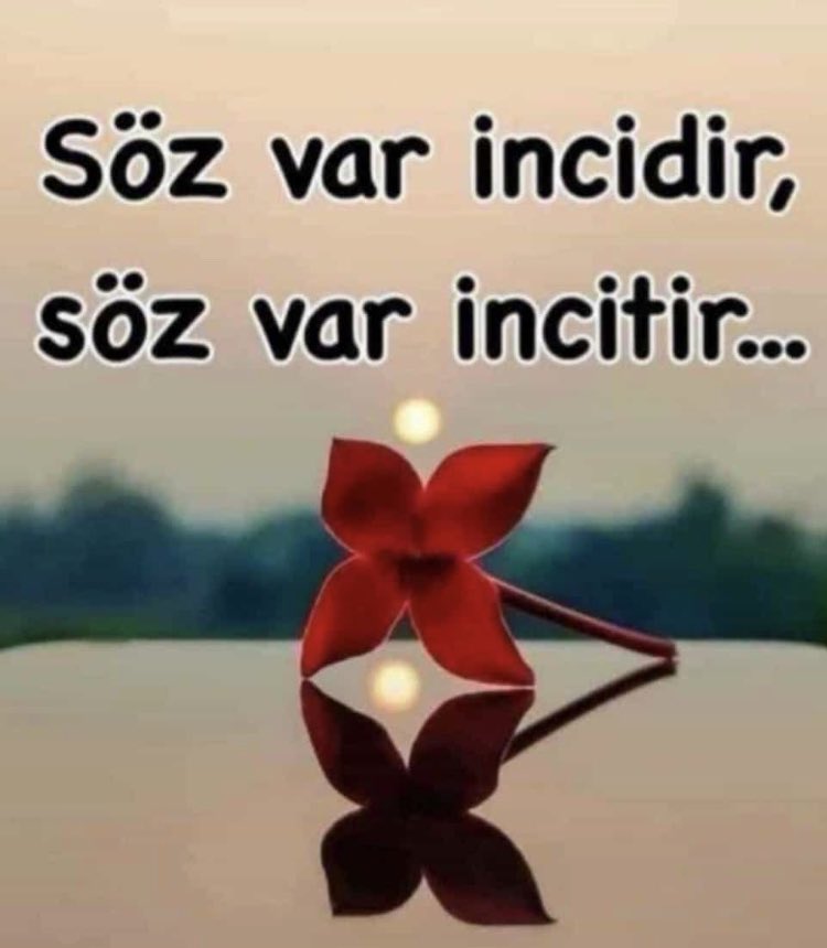 ALOSSO (@tomanaoglu1) on Twitter photo 