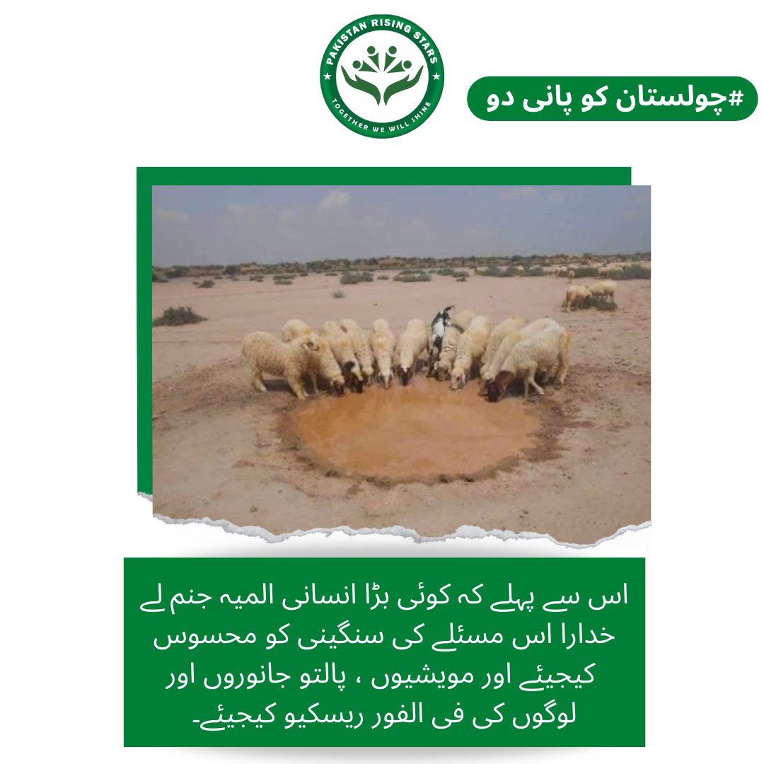 human_nutrion's tweet photo. Sheeps have reportedly died of heat stroke and dehydration in the cholistan desert of punjab
#چولستان_کو_پانی_دو
@youth_prs https://t.co/4uQyvlKqcy