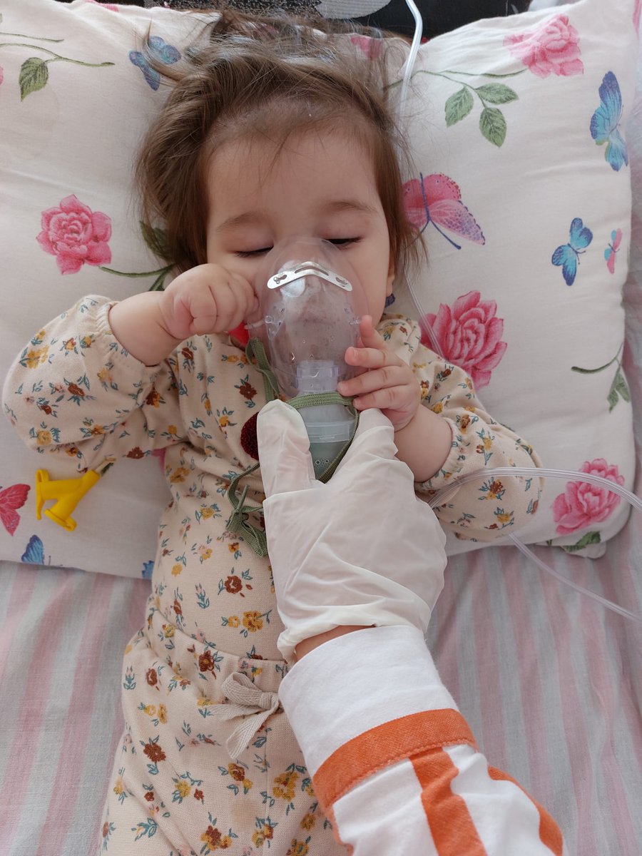 ‼️Son 27‼️
Lina, Zolgensmayı ne kadar erken alırsa o kadar güçlü çıkacak karşımıza. Yolu kısaltmak için
Lina'ya destek olabilecek tanıdıklarınızı etiketleyip belki de onun mucizesi olabilirsiniz💫

#pazar Ali Sunal #Yargı #EnginAkyürek Demet Akalın #deprem Blockchain Almanya