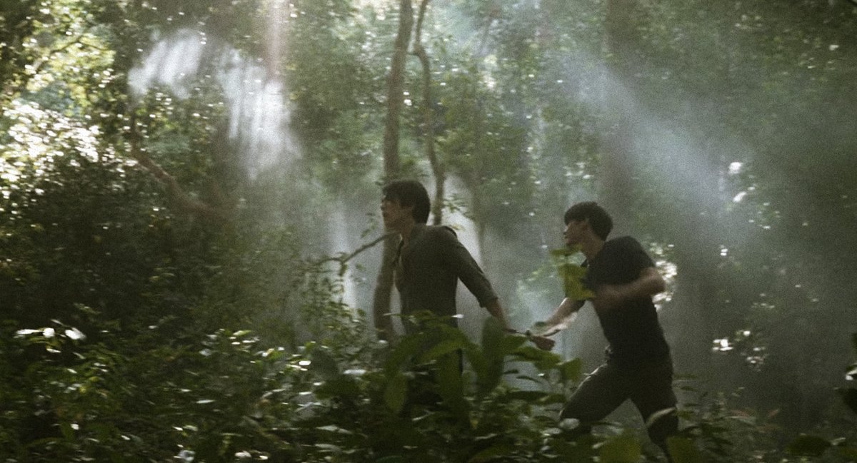 mileapofilm's tweet photo. 🍃🌿🌳
#มายอาโป #MileApo https://t.co/D5kSd8SQD3