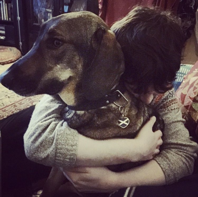 Jo Rose // Pit Pony tweet media