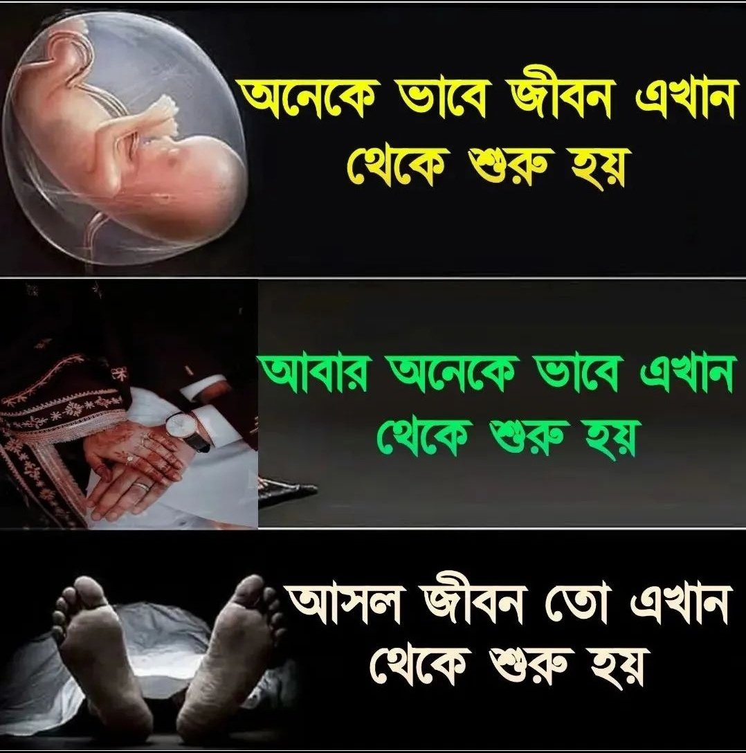 আসল জীবন যদি এখান থেকে শুরু হয় তাহলে আমার কেন এই মিছে জীবনের মায়ার পিছনে দৌড়াছি আল্লাহ তুমি ক্ষমা কর  আল্লাহ তুমি হেদায়াত দান করো........🤲