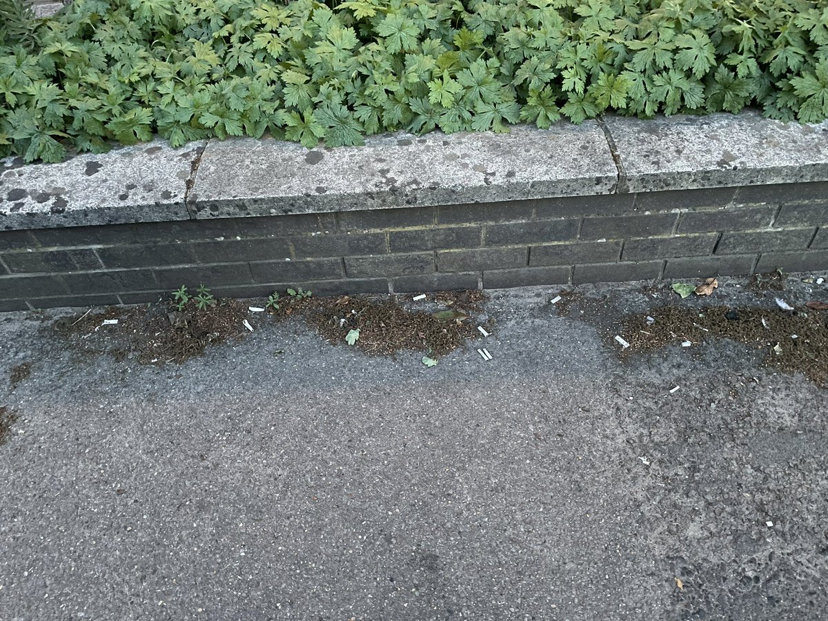 Tazzieoop's tweet photo. @Thumbelina1812 @LindaFoods Despite having a response to the concerns raised, it is still disgusting. PPE, cans and cigarette butts right in front of the “no smoking” sign. And still no sign of a bin at all!  It’s becoming a joke at this point guys… a basic bin would set you back a tenner… 

Do better. https://t.co/99I9u8915V