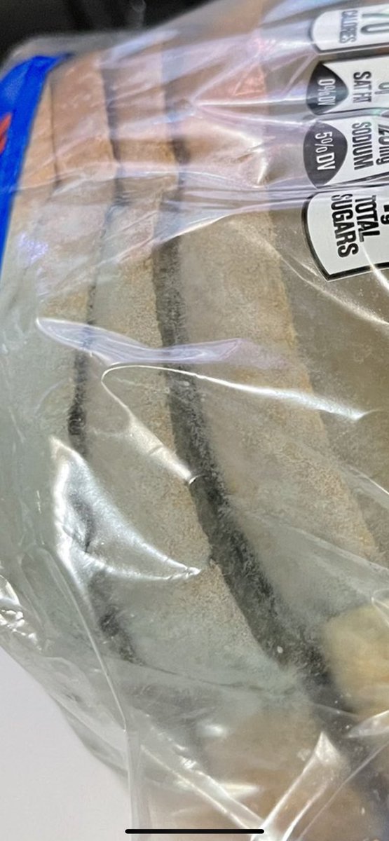 K_S_D_92's tweet photo. @dellor I mean look at the little moldy hairs https://t.co/5ubhCy88gx