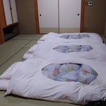 ハッシー(ワクチンニ回目接種済み)のツイート画像