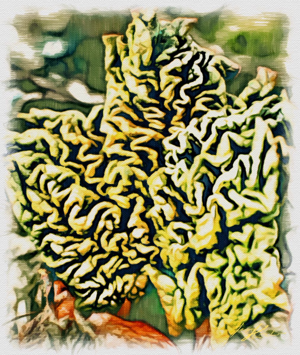 jarip462's tweet photo. Created with #GraphiteApp. Download the app for free now! @becassoapp https://t.co/wFgj12W9ao