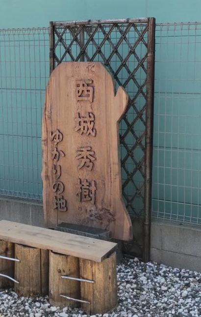 今日は広島生まれのスター西城秀樹さんの六回忌 パチンコ、パチスロ化