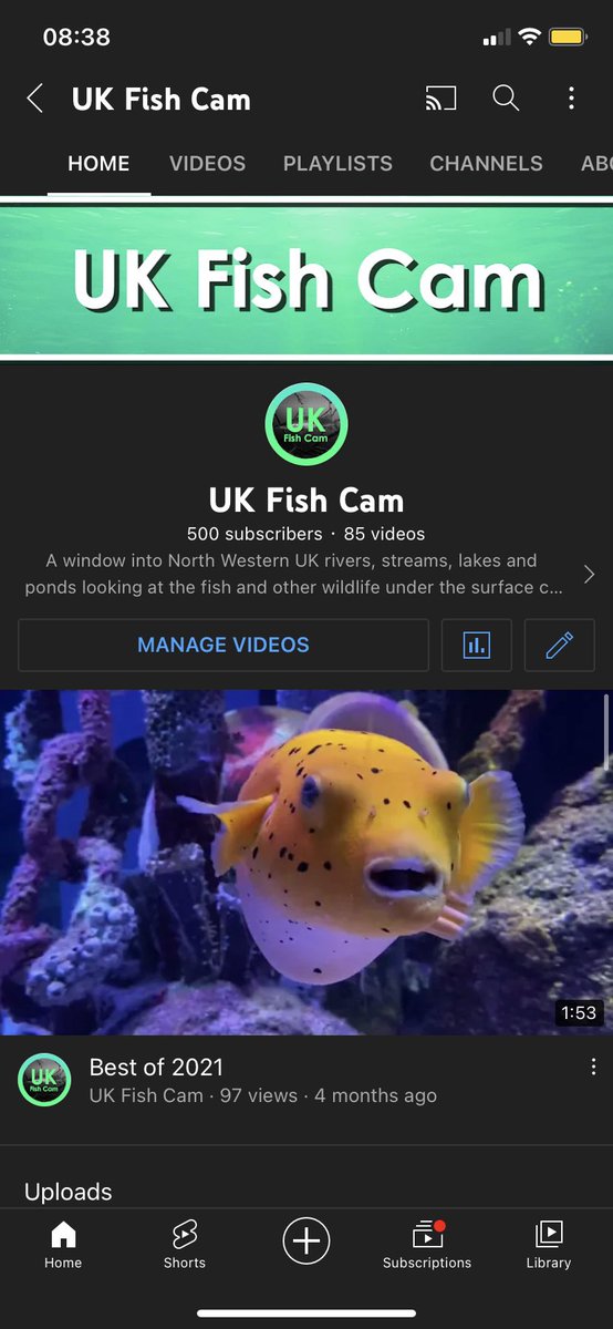 UKFishCam's tweet photo. 500 subscribers 🎉 thanks everyone https://t.co/6buiAKmXNj