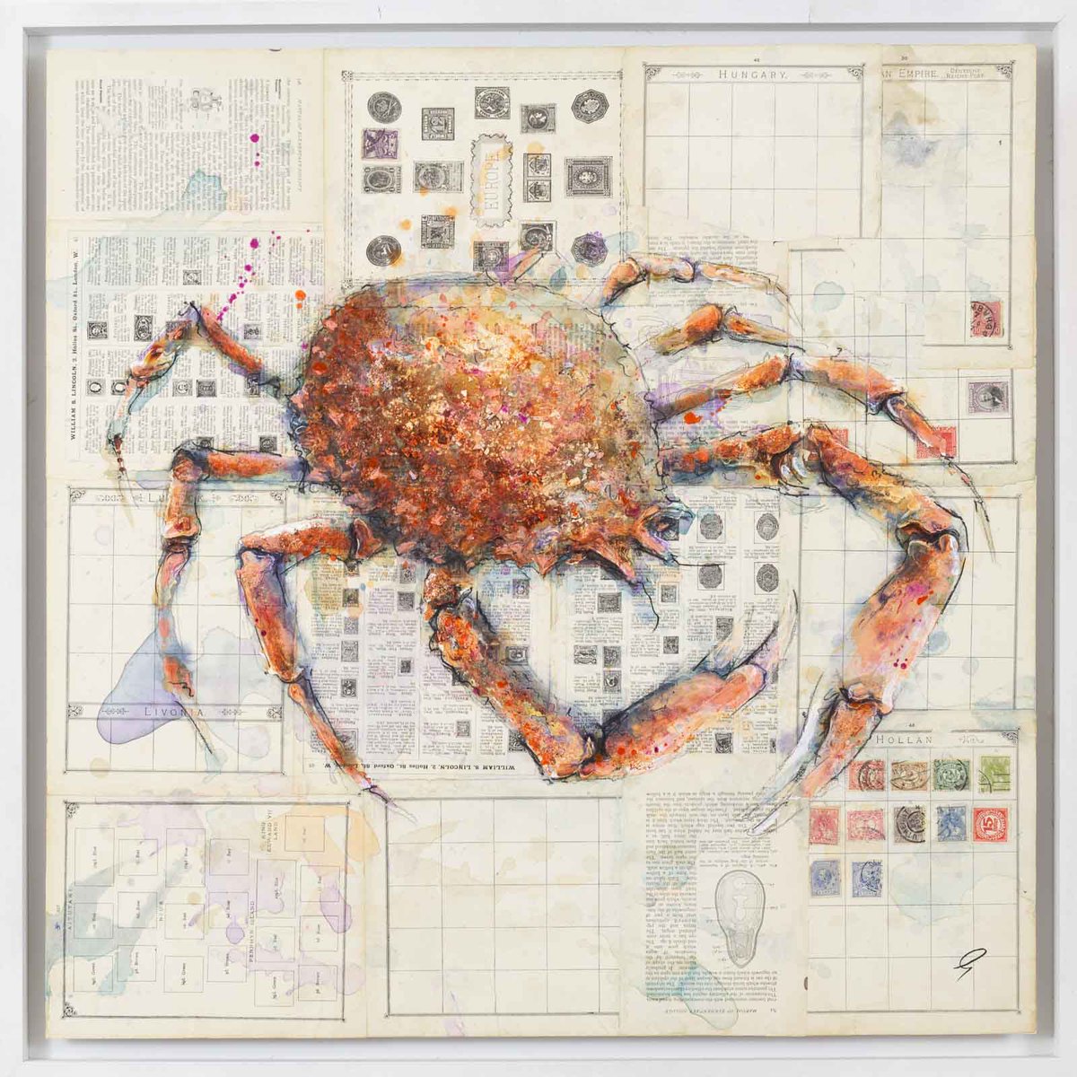 forestgalleryuk's tweet photo. We are going underwater today for the glorious new collection from Giles Ward. Featuring #spidercrab, red snapper, sardines and a pair of sprat fish, each #painting is adorned with texture and translucent washes to capture the iridescence of fresh #fish. https://t.co/Fg9A50ItAO