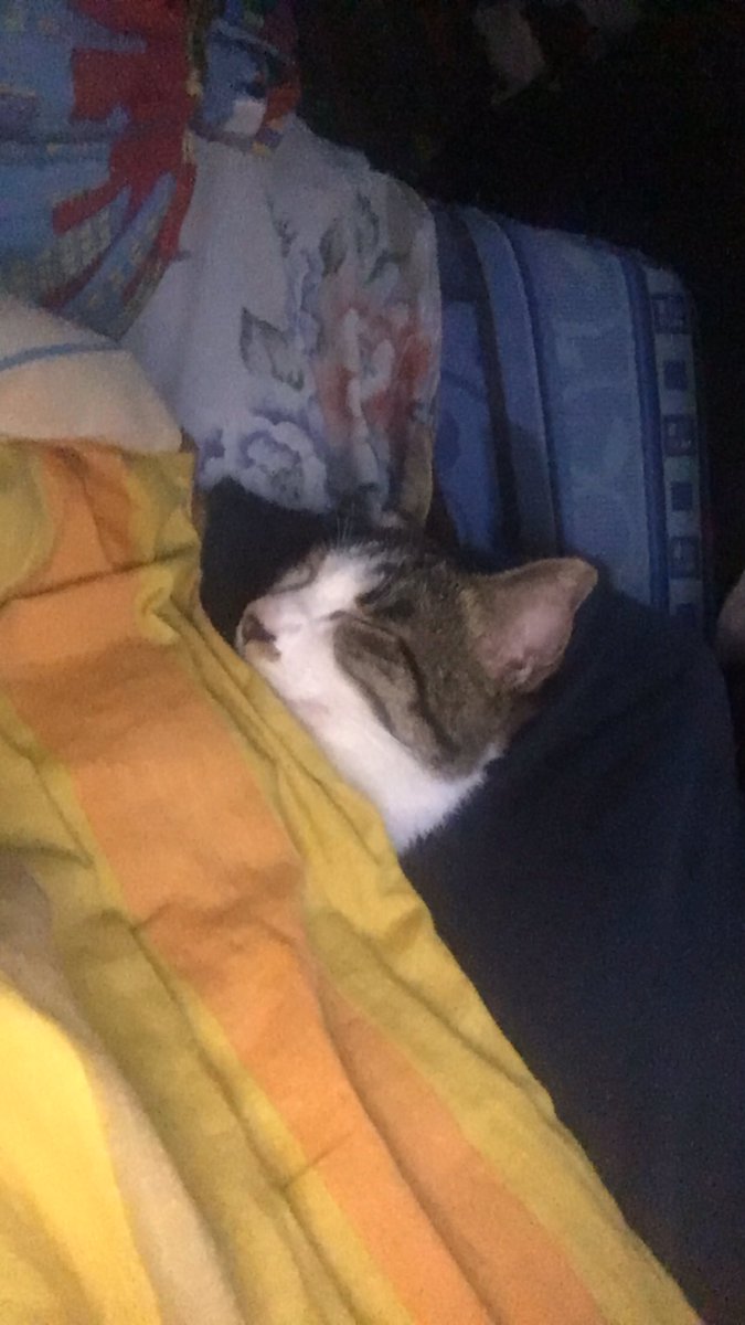 ArifImaduddin2's tweet photo. sleep https://t.co/zEt0HtaZL3