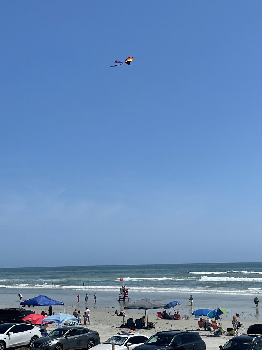 AnnMarieKhan4's tweet photo. Very rare rainbow striped pelican spotted at the beach today https://t.co/RKtpxPJHcI