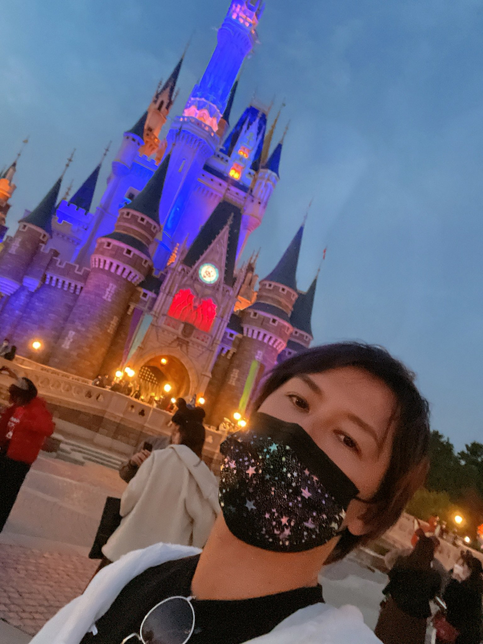 パニックコージ 本日１０時ディズニーオフ会 １０時にランド入り口集合 T Co Algkvgl6cf Twitter