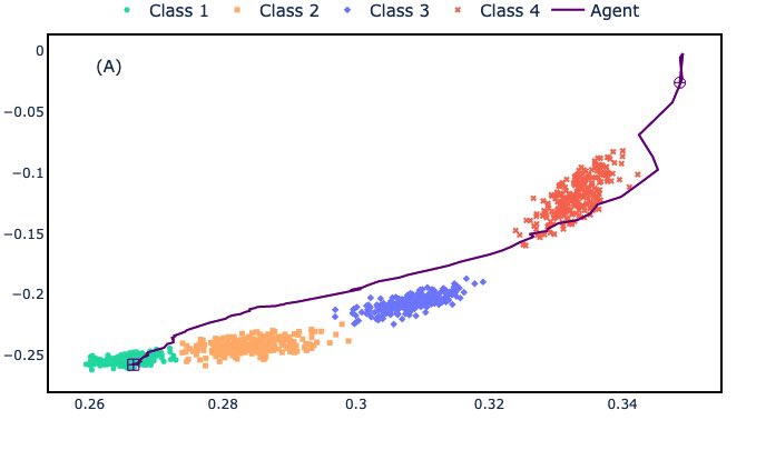 David Ireland tweet media