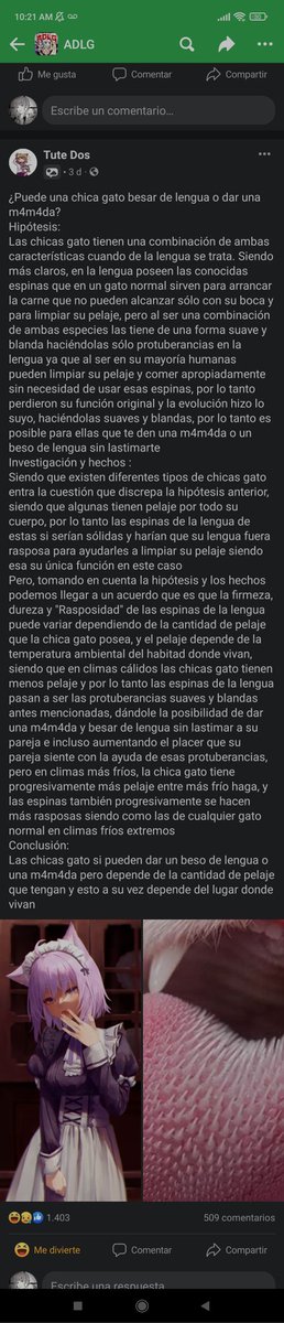 OocOtakuPosts's tweet photo. No leeré todo esto pero los reto a hacerlo https://t.co/lvp0kNoERq